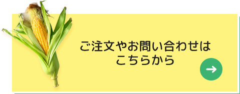 ご注文やお問い合わせはこちらから